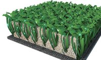 Искусственный газон для мини-футбола Mondoturf NSF 20