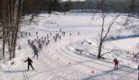 Этапы подготовки лыжной трассы